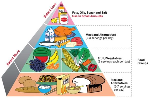 DIETARY GOALS And Guidelines